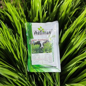 PANICOM SUPER MOMBACA F1